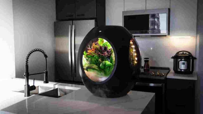 Gadgets for 2025